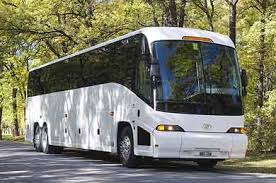 buses