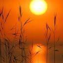 nature_085_128x128.jpg