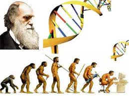 Darwinizm Çöküşü Evrim Teorisi