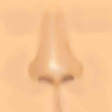 معلومات قيمة ربما غابت عنك Nose10