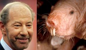 Does Tony Kornheiser 