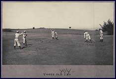 http://tbn2.google.com/images?q=tbn:7hKOlJI9aqCZGM:http://www.19cbaseball.com/images/three-old-cat-t.jpg