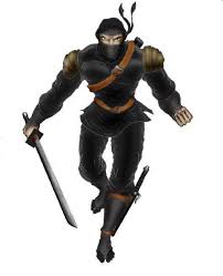 Ninja