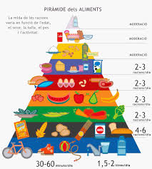 piràmide dels aliments