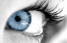 http://tbn2.google.com/images?q=tbn:8b1efsv4_0OaeM:http://d66310.u21.netbox.no/images/blue%2520eyes2.jpg