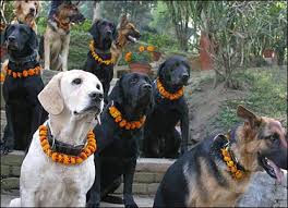 Or maybe it's because dogs guard ...