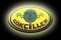 gökçiller nakliyat