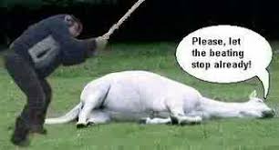 reporters attempt to get Andy Reid to tell them why he stops running the ball