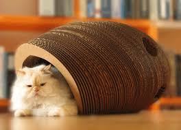 lounging cat furniture