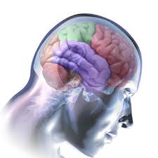 За добра памет &ndash; по-малко телевизия и повече книги