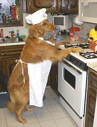 Dogs:- It’s a Dogs Life?, ...