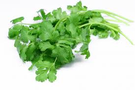 دروس الا نجليزية : الدورة الثانية Coriander_large