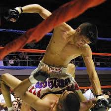 IC 6 Miguel Torres vs Ryan Ackerman
