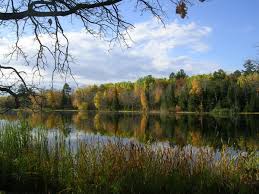 external image 1590168-Mississippi-River-0.jpg