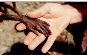 Homeless, cittadini del mondo