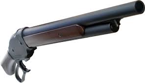 The Shotgun