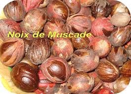 البهارات المغربية Noix_de_Muscade_DC_t.800