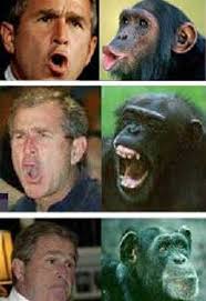 Basically, Bush has ripped up the ...