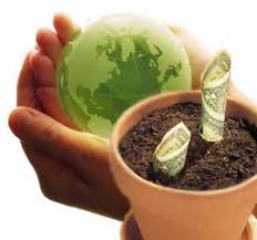 Piggy bank on green grass