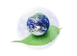 green games institute