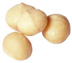the golden nut