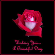 wishing you a beautiful day