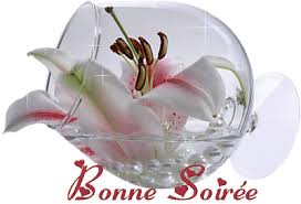 20080502175935-bonne-soiree..gif
