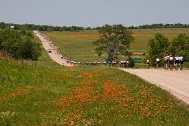  to Austin in the 2008 BP MS150