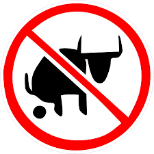 No%2520Bullshit.jpg