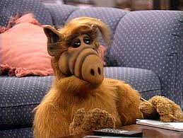 Alf 19. B�l�m �zle