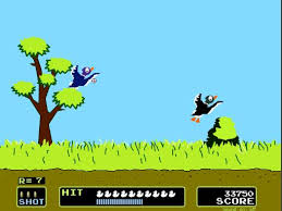 Duck Hunt