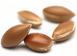 فوائد زيت الأركان........ المغربى روووووعة argan2008.jpg