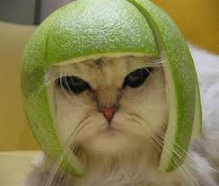 The Lime Phoenix