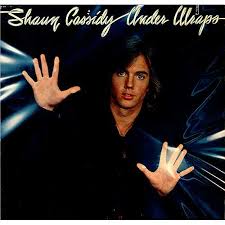 Shaun Cassidy,Under Wraps,USA