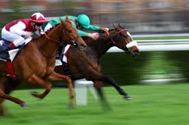  En course avec Bweed
