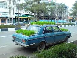 سیزده بدر - سبزه به در