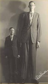 Tallest man