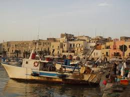 Foto di trani - igougo