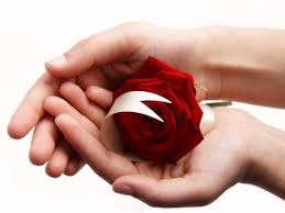 ВАШИТЕ РЪЦЕ!