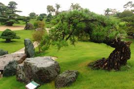 well kept lawn