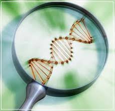 Biotech ETFs