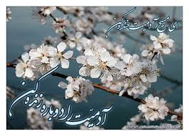 تصوير اصلي را ببينيد