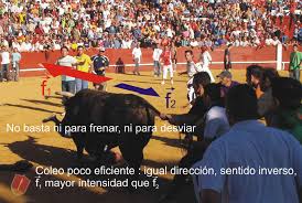 COGIDAS