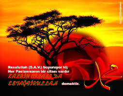  Dermane dilo