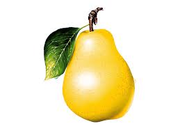 http://tbn2.google.com/images?q=tbn:falKS-9roZJ4GM:http://www.geyikmerkezi.com/resimarsivi/armut_2.jpg