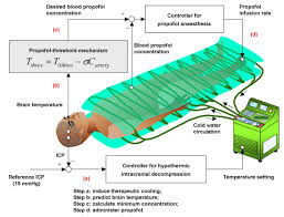 The propofol-threshold mechanism is 