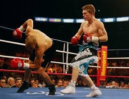 Fight Ricky Hatton W KO 4 (12) Jose 