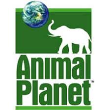 ANIMAL-PLANET.jpg