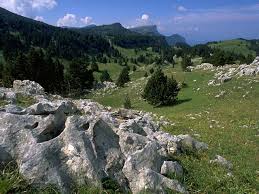 http://tbn2.google.com/images?q=tbn:ibfOYPn8ldIq-M:http://gjbetton.free.fr/hauts-plateaux-01.jpg