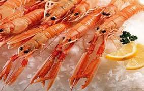 Langoustine